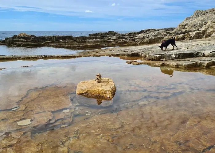 Appartement Ellie Kajak