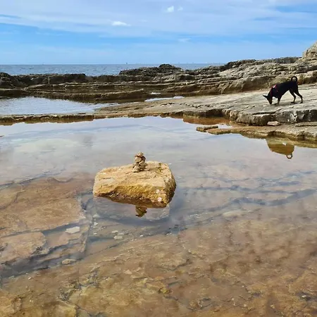 Appartement Ellie Kajak